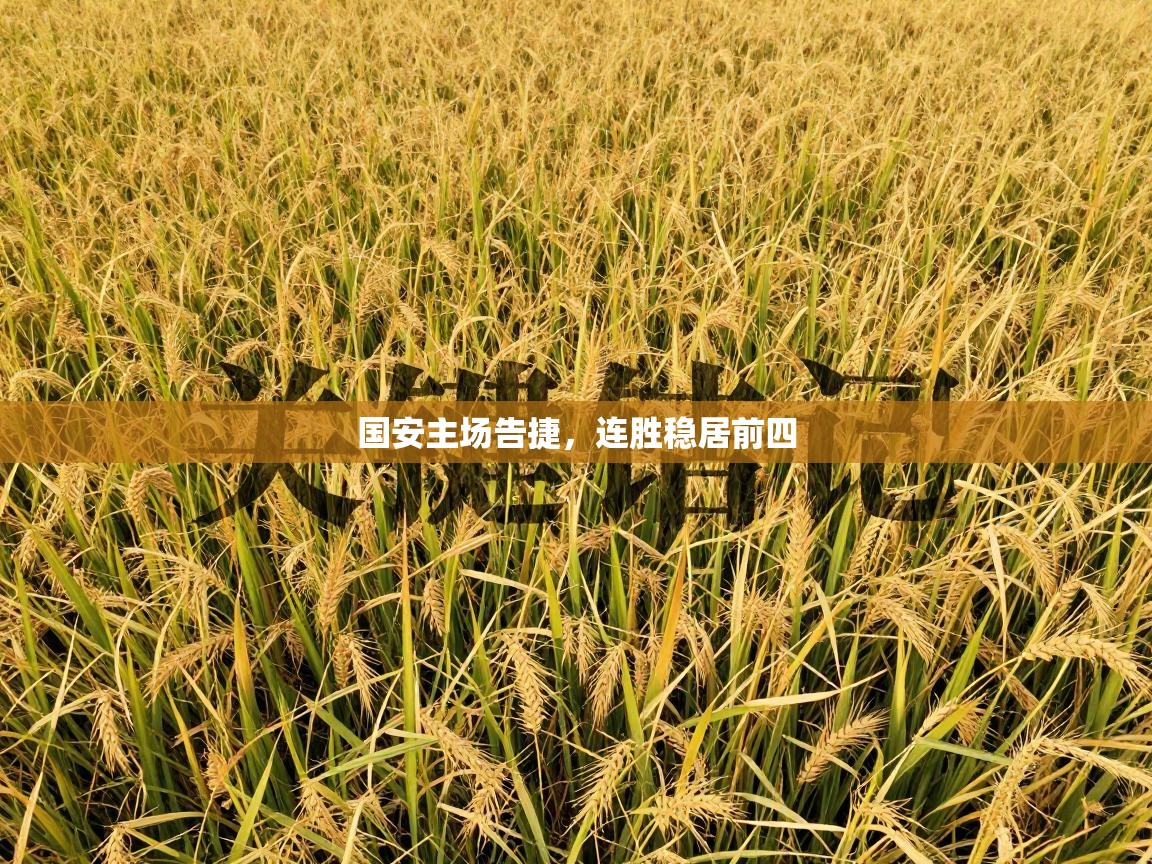 国安主场告捷，连胜稳居前四  第2张