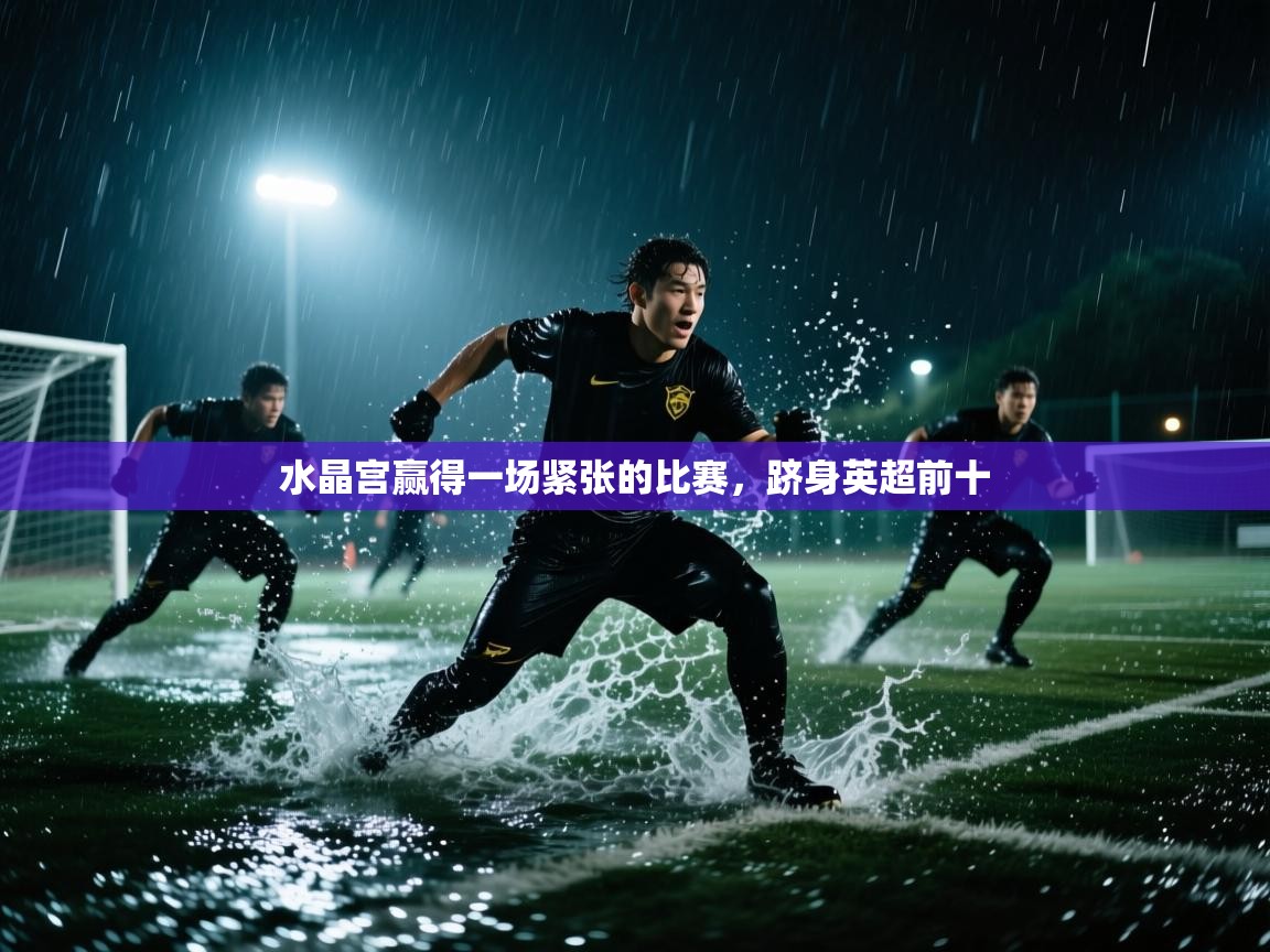 水晶宫赢得一场紧张的比赛，跻身英超前十  第1张