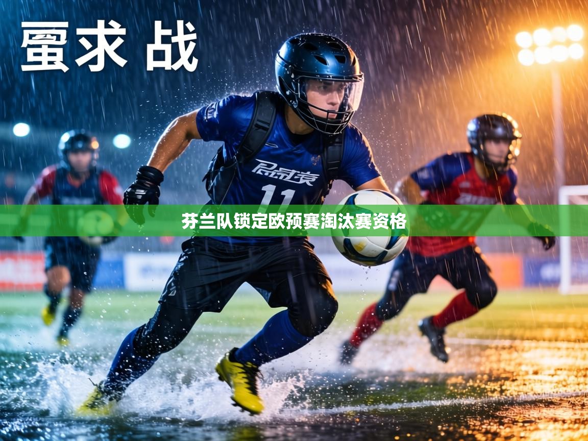 芬兰队锁定欧预赛淘汰赛资格 第2张